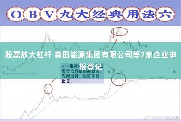 股票放大杠杆 森田能源集团有限公司等2家企业申报登记