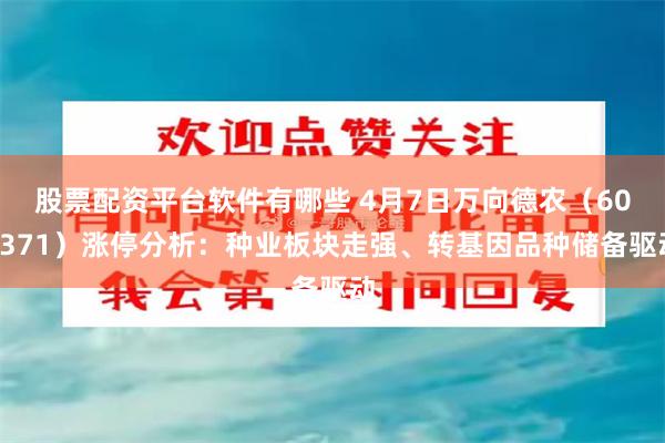 股票配资平台软件有哪些 4月7日万向德农（600371）涨停分析：种业板块走强、转基因品种储备驱动