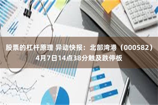 股票的杠杆原理 异动快报：北部湾港（000582）4月7日14点38分触及跌停板