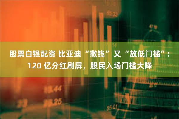 股票白银配资 比亚迪 “撒钱” 又 “放低门槛”：120 亿分红刷屏，股民入场门槛大降