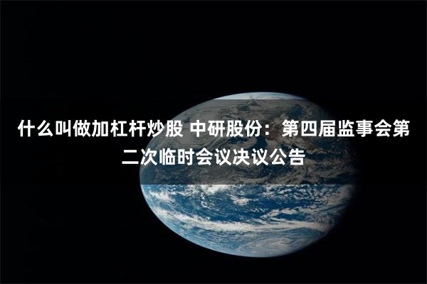 什么叫做加杠杆炒股 中研股份：第四届监事会第二次临时会议决议公告