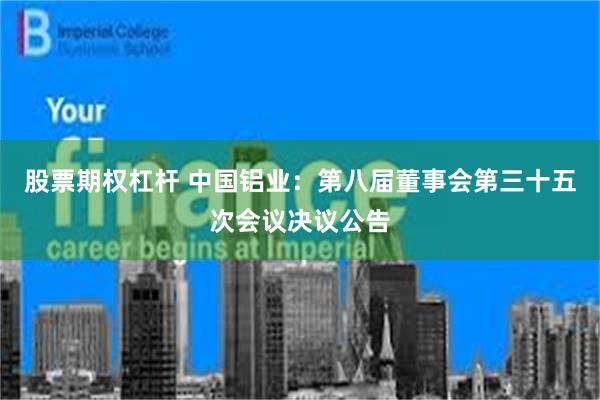 股票期权杠杆 中国铝业：第八届董事会第三十五次会议决议公告