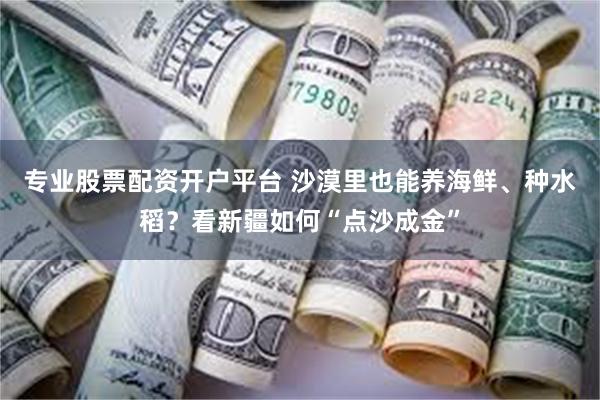 专业股票配资开户平台 沙漠里也能养海鲜、种水稻？看新疆如何“点沙成金”