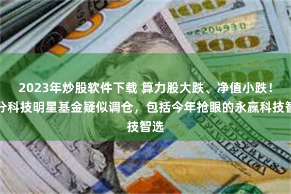 2023年炒股软件下载 算力股大跌、净值小跌！部分科技明星基金疑似调仓，包括今年抢眼的永赢科技智选