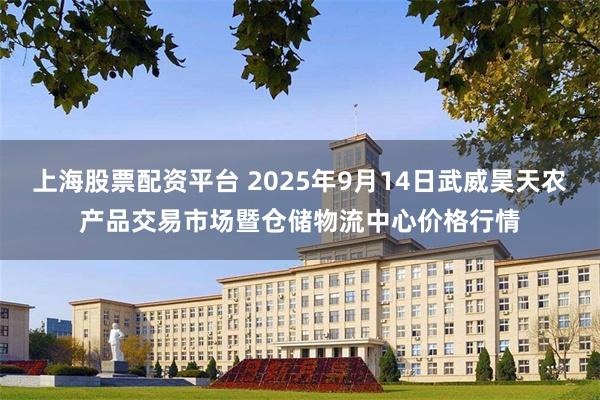 上海股票配资平台 2025年9月14日武威昊天农产品交易市场暨仓储物流中心价格行情