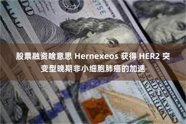 股票融资啥意思 Hernexeos 获得 HER2 突变型晚期非小细胞肺癌的加速