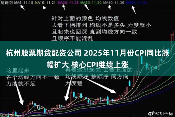杭州股票期货配资公司 2025年11月份CPI同比涨幅扩大 核心CPI继续上涨